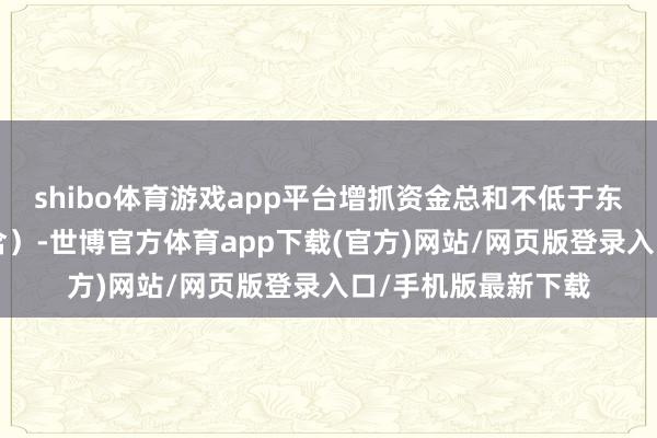 shibo体育游戏app平台增抓资金总和不低于东谈主民币5亿元（含）-世博官方体育app下载(官方)网站/网页版登录入口/手机版最新下载