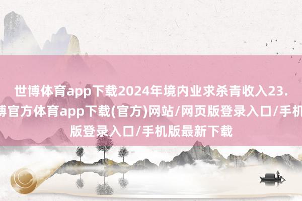 世博体育app下载2024年境内业求杀青收入23.14亿元-世博官方体育app下载(官方)网站/网页版登录入口/手机版最新下载