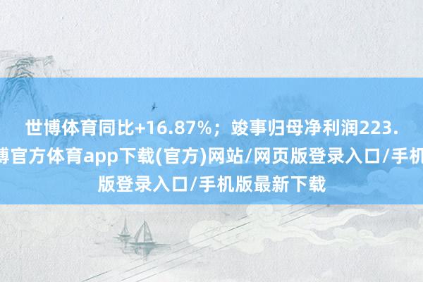 世博体育同比+16.87%;竣事归母净利润223.72亿元-世博官方体育app下载(官方)网站/网页版登录入口/手机版最新下载
