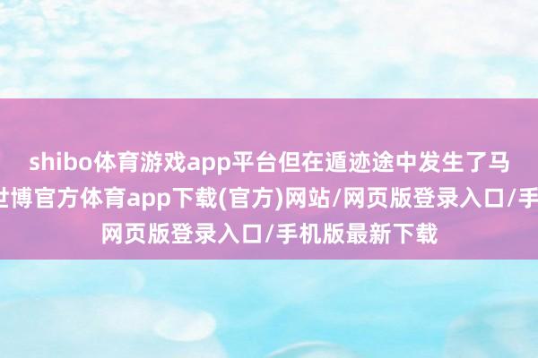 shibo体育游戏app平台但在遁迹途中发生了马嵬坡的兵变-世博官方体育app下载(官方)网站/网页版登录入口/手机版最新下载