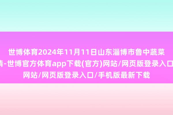 世博体育2024年11月11日山东淄博市鲁中蔬菜批发商场价钱行情-世博官方体育app下载(官方)网站/网页版登录入口/手机版最新下载