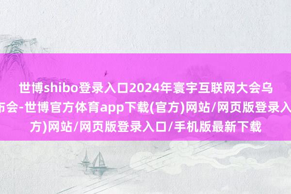 世博shibo登录入口2024年寰宇互联网大会乌镇峰会召开新闻发布会-世博官方体育app下载(官方)网站/网页版登录入口/手机版最新下载